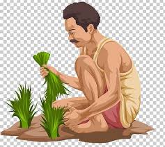 India Farmer Agriculture Cattle Png Agricultural Extension Arm Art Desktop Wallpaper Drawing Agriculture Drawings Farmer