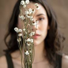 Myriam Arseneau Artiste