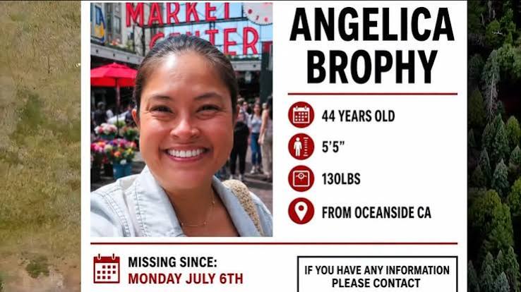 Search for missing Oceanside woman Angelica Brophy stretches into second week