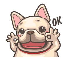 Check spelling or type a new query. Pin En Pig Dog