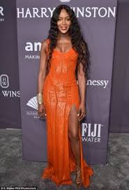 Naomi ellen watts was born on 28 september 1968, in shoreham, kent, england. Naomi Campbell