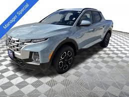 Image result for Blue Stone 2023 Santa Cruz