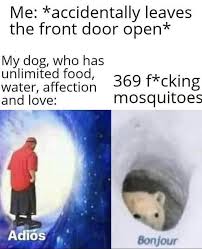 Life Is Hard Adios Wormhole Funny Memes Really Funny Joke Life Is Hard