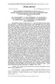 Image result for Crotalaria prolongata