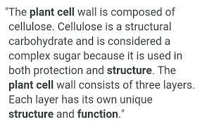What is the function of cellulose in plant cell class 9. Explain The Composition And Structure Of Plant Cell Wall Brainly In
