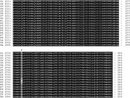Cytochrome P450 Cyp4de1 And Cyp6cw3v2 Contribute To Ethiprole Resistance In Laodelphax Striatellus Fallen Elzaki 2015 Insect Molecular Biology Wiley Online Library