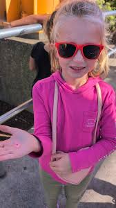 Duck comparison and qualities discussion