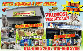 Selain dari struktur bangunan yang menarik di sana, melaka juga ada tempat makan best yang korang kena lawati. Branch Kita Yang Kat Cheng Betta Aquarium Pet Centre Facebook