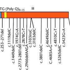 The logo was a colored version of the programma nazionale's logo. Rai1 Gene And Mutations The Genomic Structure Of The Rai1 Gene With Download Scientific Diagram