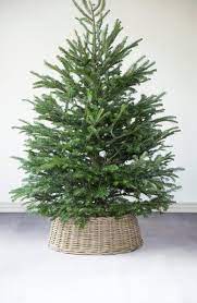 Hand Woven From Natural Rattan This Beautiful Wicker Collar Offers A Folk Inspired Alternative To The Classic Tree Collar Christmas Decorations Winter Planter