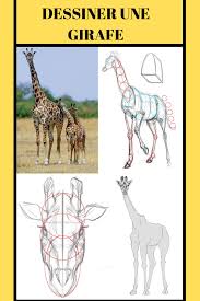 Dans ce quatrième épisode du challenge dessin , je vous dessine une girafe. Epingle Sur Apprendre A Dessiner Avec Dessindigo