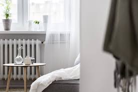 Radiator plants vary in appearance, though many have small, flat leaves, and thick stems. How To Clean Your Radiators How To Clean Radiator In 5 Steps