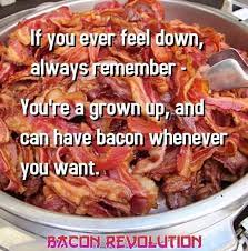 Bacon Memes The Meme Dump Com