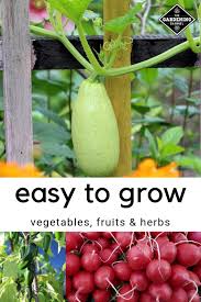 So easy to grow and so versatile. These 9 Vegetable Plants Are Nearly Impossible To Kill Gardening Channel