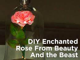 It looked like the perfect container for the enchanted rose from beauty and the beast, so i decided to i'd also like to mention that i got accepted into the diy club! Diy Enchanted Rose From Beauty And The Beast 1000bulbs Com Blog