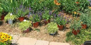 Many folks are surprised to learn that autumn runs a close second to spring as an ideal planting time, but it's true: Why Fall Is The Best Time To Plant Perennials Costa Farms