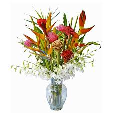 We did not find results for: Hawaiian Flowers Tropical Bouquets Blooms Of Hawaii