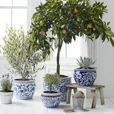 Thank you for our marvellous pots! 27 Best Pots And Planters In 2021 Hgtv
