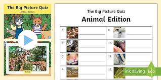 Who is the main enemy of mowgli? Animal Picture Quiz With Answers Printable Animal Quiz