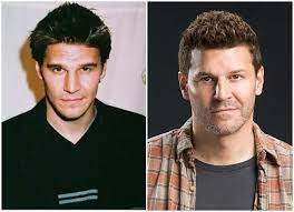 David Boreanaz David Boreanaz Actors David