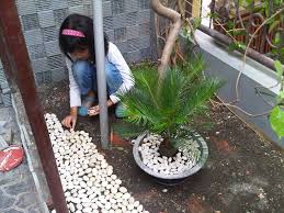 6 cara membuat taman kecil di depan rumah sederhana tapi apik. Taman Mungil Di Depan Rumah Ayunda Damai