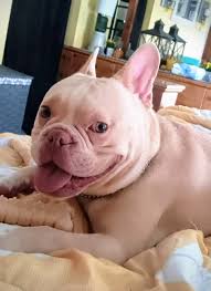 I never have to guess what he is thinking....expressions tell Kevin's  story! 🥰