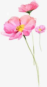 Flower Lotus Pink Flower Lotus Pink Flower Vector Vector Lotus Vector Vector Pink Vector Flo Watercolor Flowers Tutorial Floral Watercolor Flower Painting