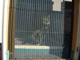 Maybe you would like to learn more about one of these? Plisse Retractable Screens And Cats A Better Solution