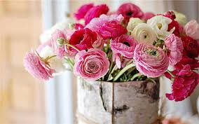 February Flowers That In Season Pretty Flowers Ranunculus Flowers Pink Flowers