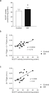 Join researchgate to find the people and research you need to help your work. A New Hyperpolarized 13 C Ketone Body Probe Reveals An Increase In Acetoacetate Utilization In The Diabetic Rat Heart Scientific Reports