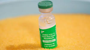 Covid 19 Vaccine Government Panel To Study Whether Single Dose Covishield Provides Enough Immunity Report
