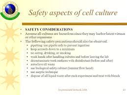 A manual of basic technique, 5th edition, by r. Download Pdf Safety In Cell And Tissue Culture