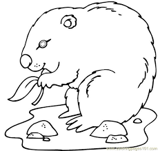 Learn about the presidents of the united states with these free printable presidents worksheets and coloring pages. Groundhog Eating Leaf Coloring Page For Kids Free Groundhog Or Woodchuck Printable Coloring Pages Online For Kids Coloringpages101 Com Coloring Pages For Kids