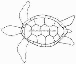 Feel free to explore, study and enjoy paintings with paintingvalley.com. Here Are Some Turtle Drawings In Their Easiest Format Start By Copying The Outline And Progress On To The Other Turtle Outline Turtle Drawing Turtle Painting