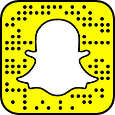 Check out Ufc's Snapchat account and find other celebrities to follow!