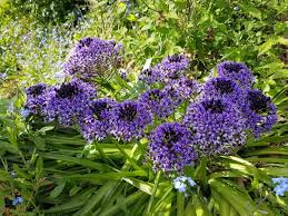 Diane de poitiers, catherine de médicis. Petit Tour Du Jardin Avril Esprit Laita