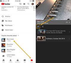 Apps like youtube or similar video streaming apps have similar features but still, the complete cost of app development can vary. How To Loop Youtube Videos On Mac And Ios