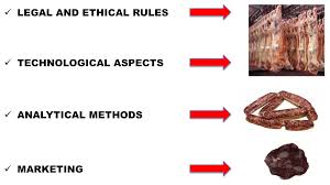 For a food to be halal for consumption there is need to ensure that the food is halal all through the food supply chain and this is not an easy process. Foods Free Full Text Safety Quality And Analytical Authentication Of á¸¥alal Meat Products With Particular Emphasis On Salami A Review Html