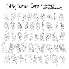 Wut On Earth I Thought There Was Only Two Types Of Ears Human And Elf P Human Ear Anatomy Drawing Drawing Tutorial