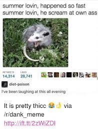 25 Best Memes About Summer Lovin Summer Lovin Memes