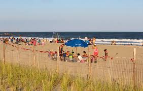 Rockaway Brewery S Brew Cruiser Offers Express Bus Trips To The Beach With Beer On Board 6sqft