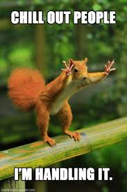 Squirrel Animal Captions Funny Animal Pictures Funny Animals