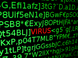Image result for computer virus