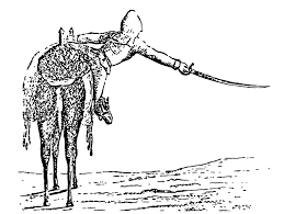 Camel corps into the american southwest. The United States Army Camel Corps 1856 66