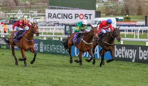 See who's going to cheltenham festival 2021 in cheltenham, united kingdom! 5 Contenders For The 2021 Cheltenham Festival Myracing
