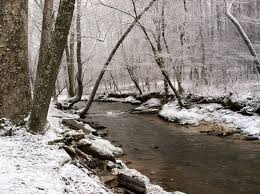 Blairsville Ga Experienced About A 45 Min Snow Shower Which Led Me To Take An Impromptu Photo Walk At Meeks Park In Blai Blairsville Photo Walk Snow Showers