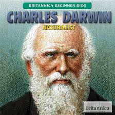 Britannica Beginner BIOS: Charles Darwin : Naturalist (Paperback)