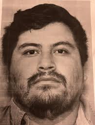 Cops with assault rifles