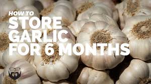 Garlic keeps longest when stored at 60 to 65 degrees and in moderate humidity. How To Store Fresh Garlic For 6 Months Youtube