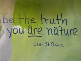 Be The Truth You Are Nature Star St Claire Truth Poems Inner Light